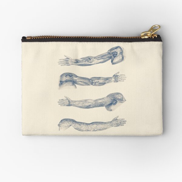 Item preview, Arm and Hand Diagram - Quad View designed and sold by VAposters.