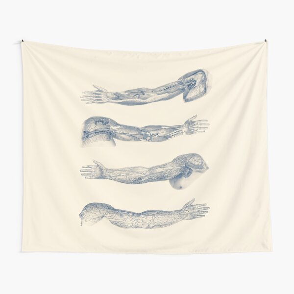 Item preview, Arm and Hand Diagram - Quad View designed and sold by VAposters.