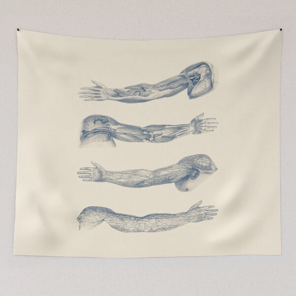 Item preview, Arm and Hand Diagram - Quad View designed and sold by VAposters.
