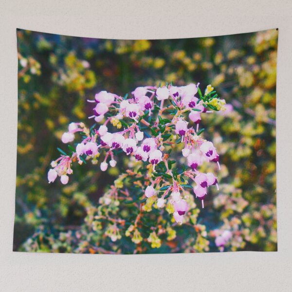 Item preview, Unusual Visions of Nature designed and sold by Elinda96.