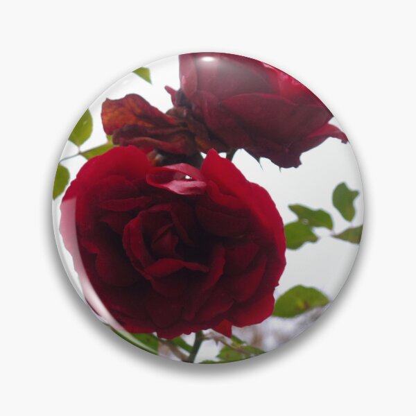 Item preview, Cut by a Rose designed and sold by Elinda96.