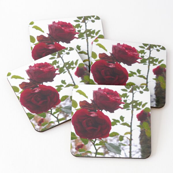 Item preview, Cut by a Rose designed and sold by Elinda96.