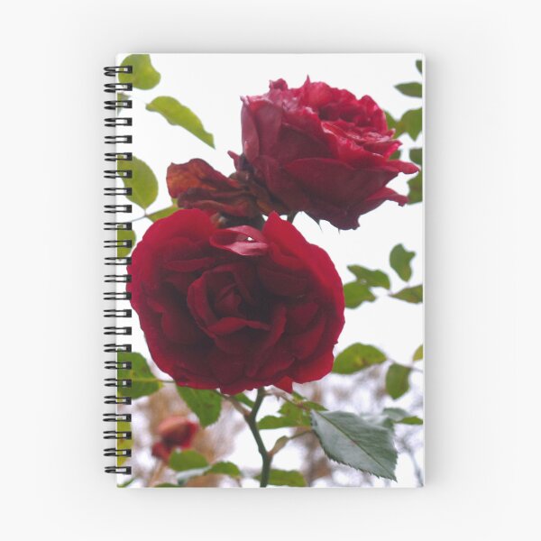 Item preview, Cut by a Rose designed and sold by Elinda96.