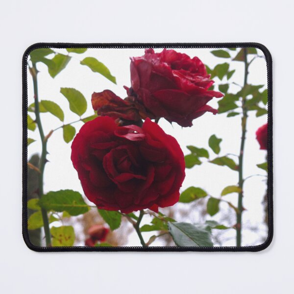 Item preview, Cut by a Rose designed and sold by Elinda96.