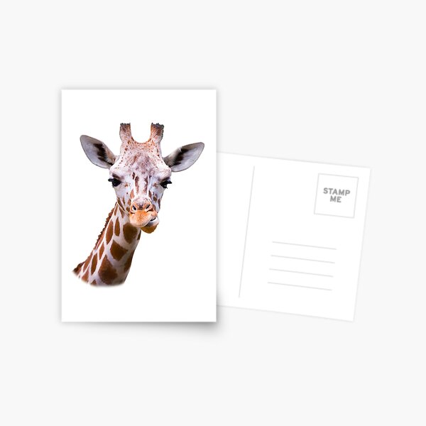 Funny Giraffe Stationery Redbubble - fat giraffes roblox