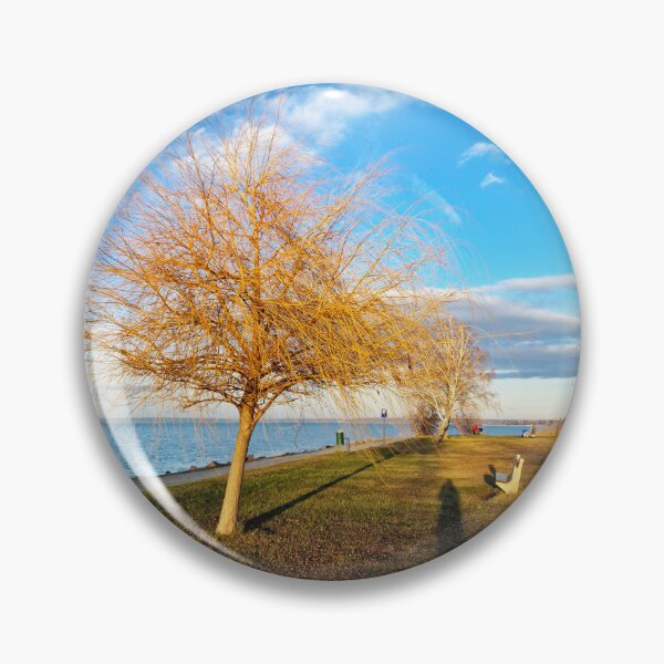 Item preview, Bald Lakeshore Willow, Bench and Shadows in Winter designed and sold by Gaboro.