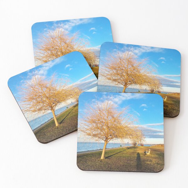 Item preview, Bald Lakeshore Willow, Bench and Shadows in Winter designed and sold by Gaboro.