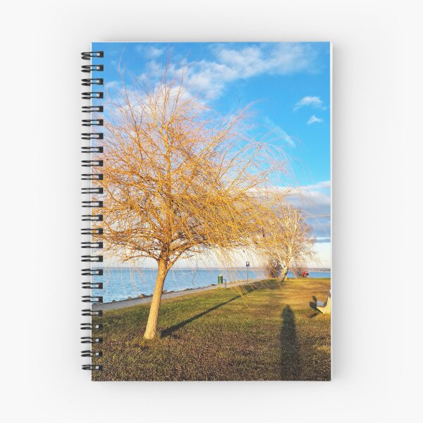Item preview, Bald Lakeshore Willow, Bench and Shadows in Winter designed and sold by Gaboro.