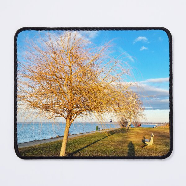 Item preview, Bald Lakeshore Willow, Bench and Shadows in Winter designed and sold by Gaboro.