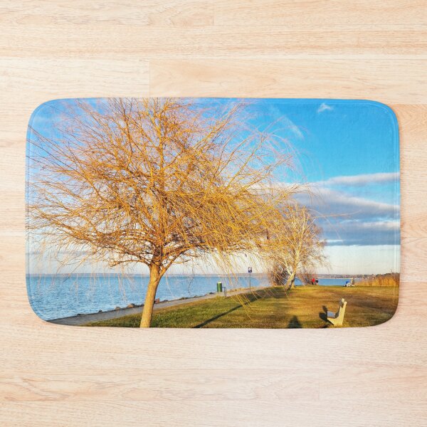 Item preview, Bald Lakeshore Willow, Bench and Shadows in Winter designed and sold by Gaboro.