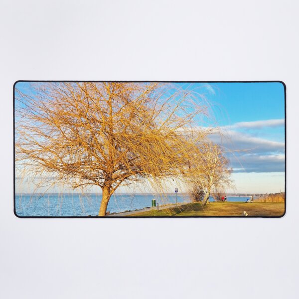 Item preview, Bald Lakeshore Willow, Bench and Shadows in Winter designed and sold by Gaboro.