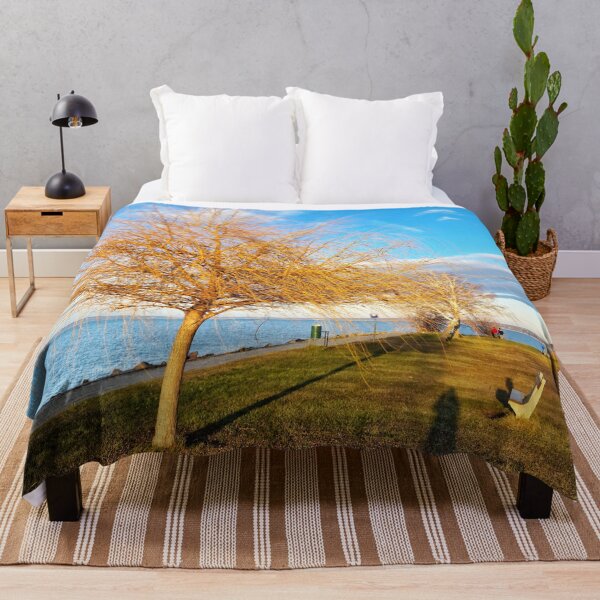 Item preview, Bald Lakeshore Willow, Bench and Shadows in Winter designed and sold by Gaboro.