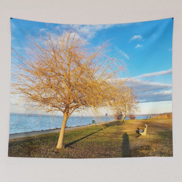 Item preview, Bald Lakeshore Willow, Bench and Shadows in Winter designed and sold by Gaboro.
