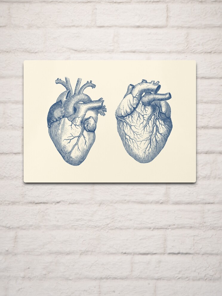 Cute human heart hand drawn doodle illustration 6529035 Vector Art at  Vecteezy