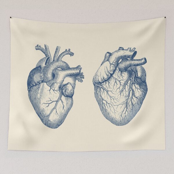 Item preview, Simple Human Heart - Dual View - Vintage Anatomy designed and sold by VAposters.