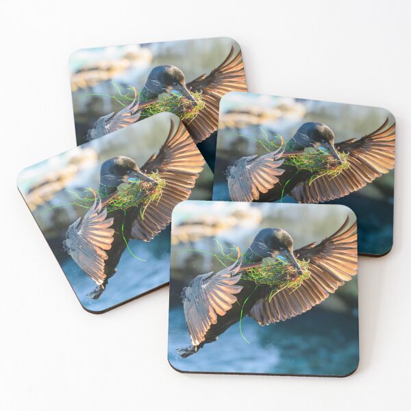 Item preview, Nature's Master Builder designed and sold by tiltshiftearth.