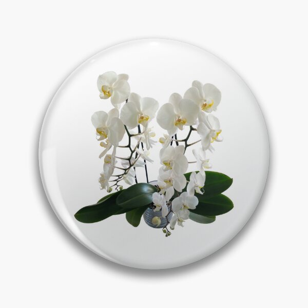 Item preview, White phalaenopsis orchid original artwork designed and sold by paragonDesign28.