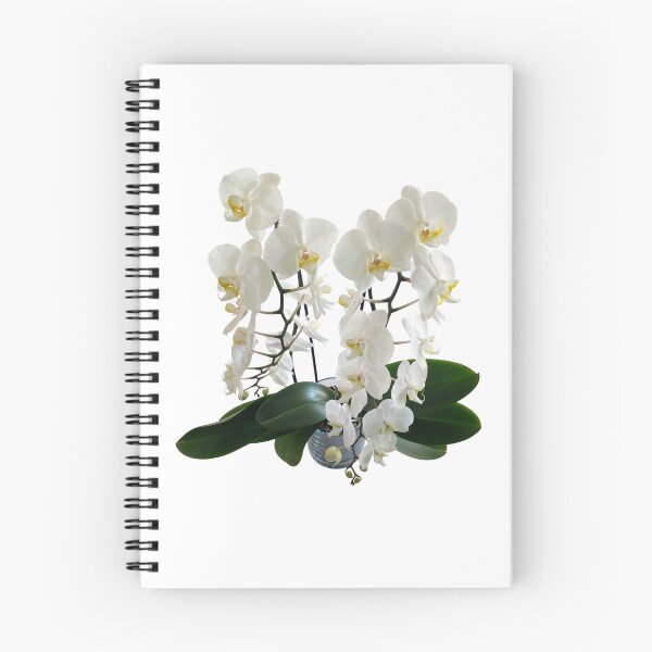 Item preview, White phalaenopsis orchid original artwork designed and sold by paragonDesign28.