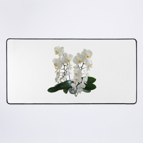 Item preview, White phalaenopsis orchid original artwork designed and sold by paragonDesign28.