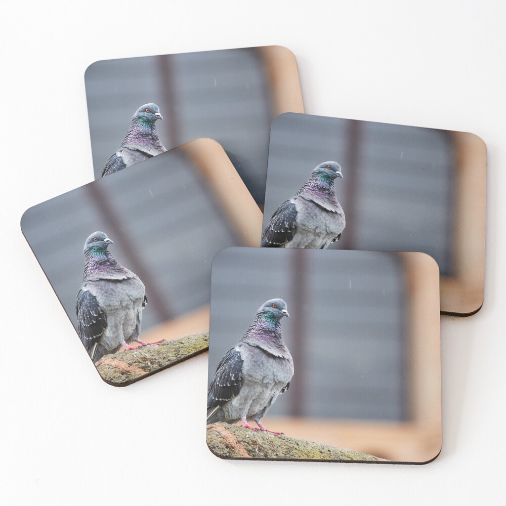 Item preview, Coasters (Set of 4) designed and sold by eideticphotos.