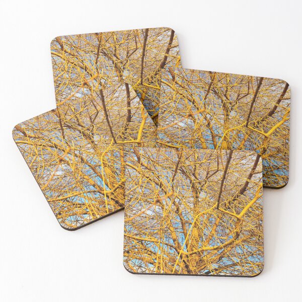 Item preview, Bald Willow Tree Benches in Late Sunshine designed and sold by Gaboro.