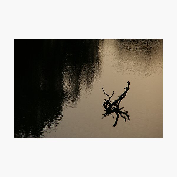 Item preview, Twilight on the Murrumbidgee designed and sold by emmmee.