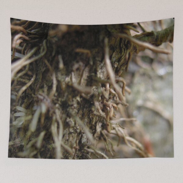 Item preview, Photo close up of ivy designed and sold by PM-Artistic.