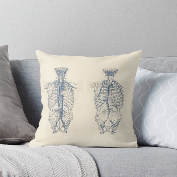 Item preview, Venous and Circulatory System - Human Torso  designed and sold by VAposters.