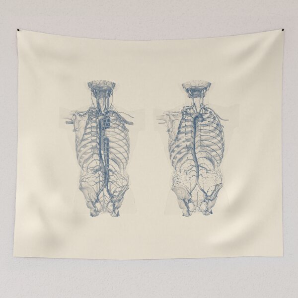 Item preview, Venous and Circulatory System - Human Torso  designed and sold by VAposters.