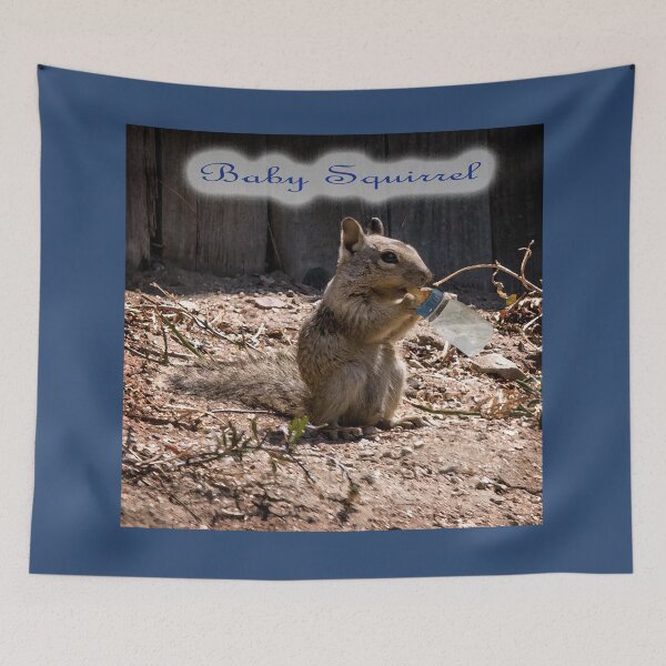 Item preview, Baby Squirrel  designed and sold by CarolM.