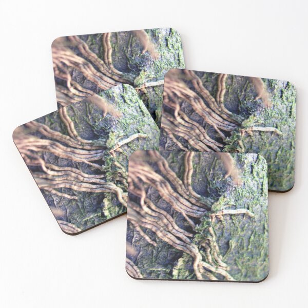 Item preview, Photo close up of ivy designed and sold by PM-Artistic.