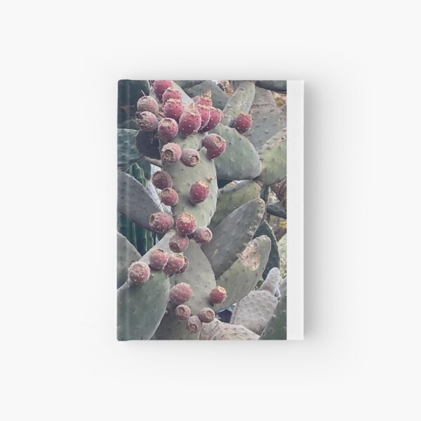 Item preview, Southern California Cactus Plant designed and sold by JMSTYLEHOUSE.