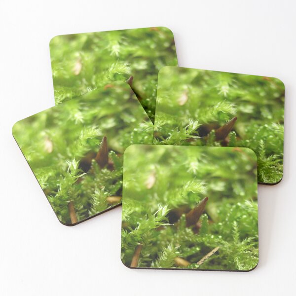 Item preview, Photo close up Moss designed and sold by PM-Artistic.