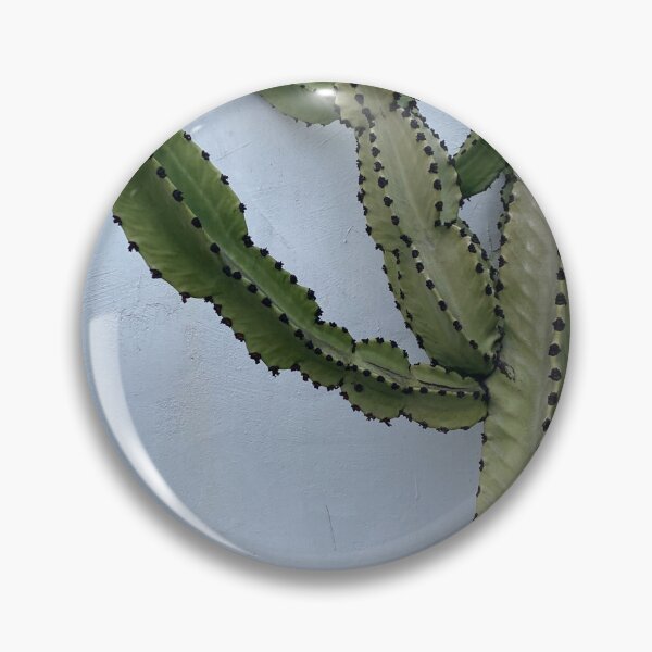 Item preview, A Cactus by the name of Ramona designed and sold by JMSTYLEHOUSE.