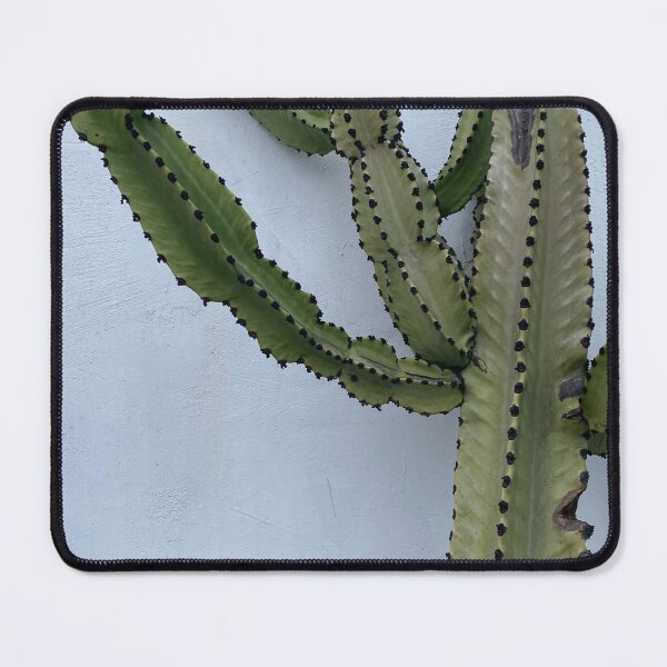 Item preview, A Cactus by the name of Ramona designed and sold by JMSTYLEHOUSE.