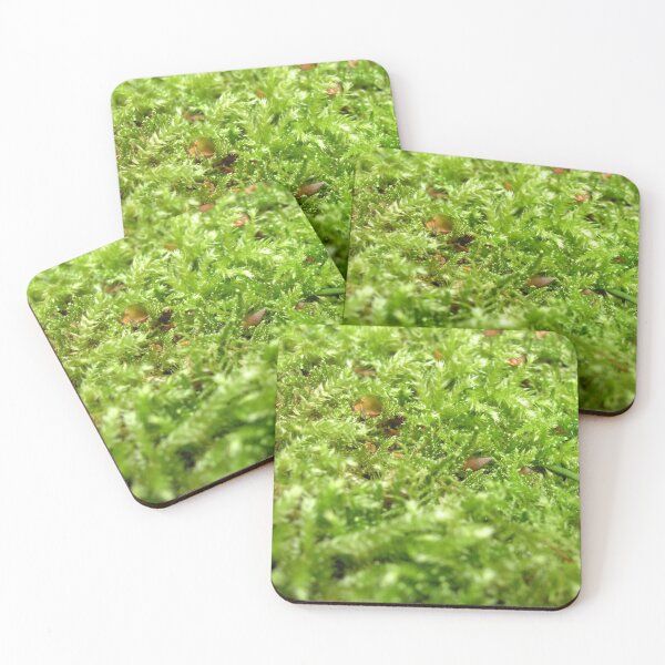 Item preview, Photo close up Moss designed and sold by PM-Artistic.