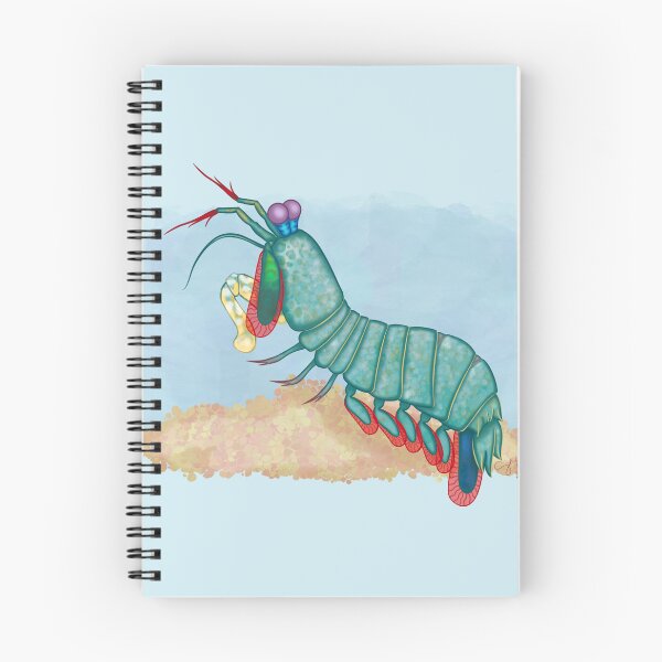 Item preview, Mantis Shrimp designed and sold by Sarah McDonough.