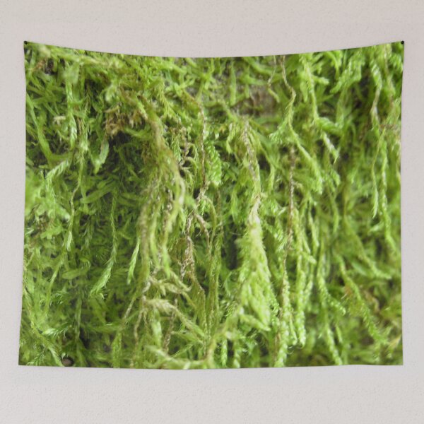 Item preview, Photo close up Moss designed and sold by PM-Artistic.