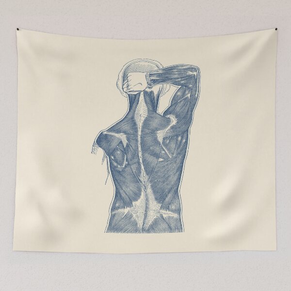 Item preview, Muscular System - Rear View designed and sold by VAposters.
