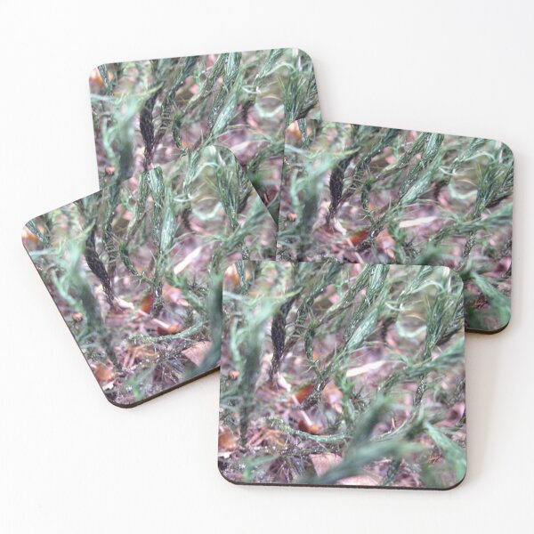 Item preview, Photo close up Moss designed and sold by PM-Artistic.