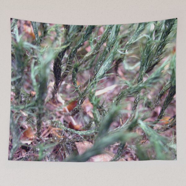 Item preview, Photo close up Moss designed and sold by PM-Artistic.