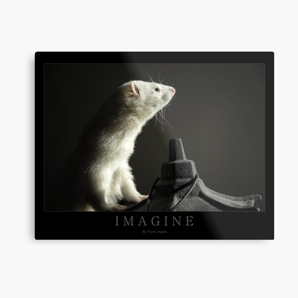 I M A G I N E Metal Print