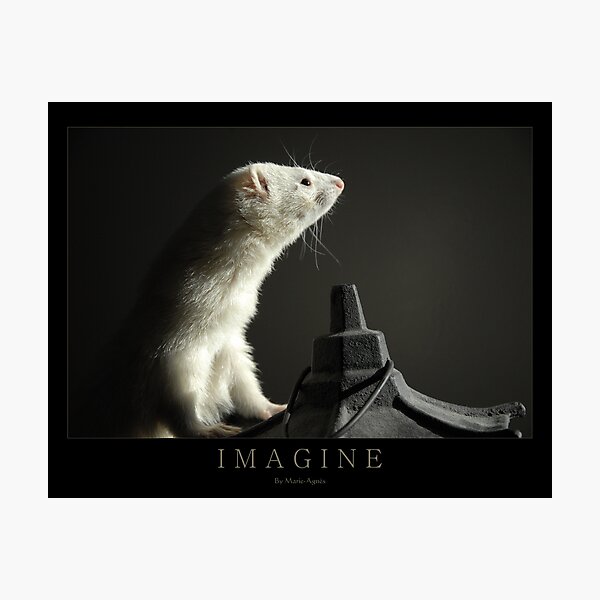I M A G I N E Photographic Print