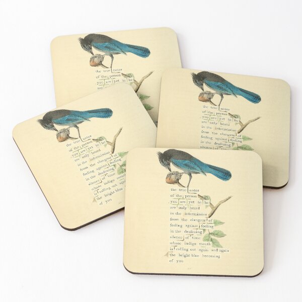 Item preview, Bird Divination: Stellers Jay (almanacofbirds.org) designed and sold by mariapopova.