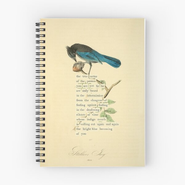 Item preview, Bird Divination: Stellers Jay (almanacofbirds.org) designed and sold by mariapopova.