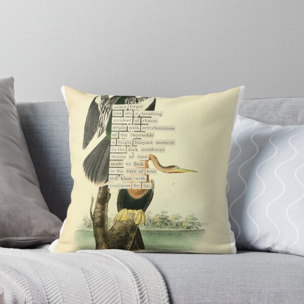 Item preview, Bird Divination: Snake-bird (almanacofbirds.org) designed and sold by mariapopova.