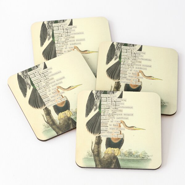 Item preview, Bird Divination: Snake-bird (almanacofbirds.org) designed and sold by mariapopova.
