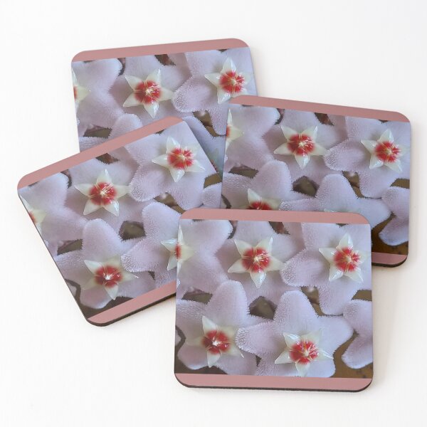 Item preview, Fuzzy looking little Hoya blossoms designed and sold by Mary Ellen Tuite.