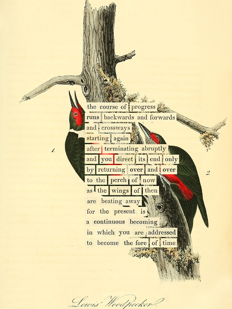 Thumbnail 5 of 5, iPhone Case, Bird Divination: Lewis's Woodpecker (almanacofbirds.org) designed and sold by mariapopova.