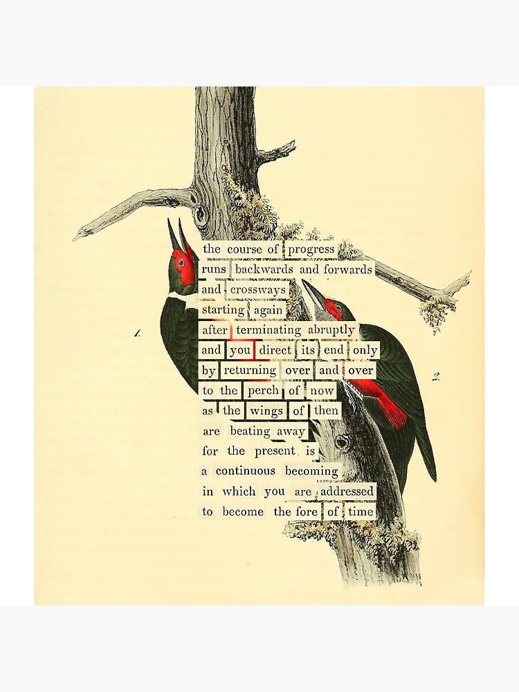 Thumbnail 4 of 4, Pillow, Bird Divination: Lewis's Woodpecker (almanacofbirds.org) designed and sold by mariapopova.